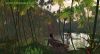 Filename=Island-Pool.jpg
Filesize=227KB
Dimensions=1100x595
Date added=Jan 28, 2008 Island-Pool.jpg